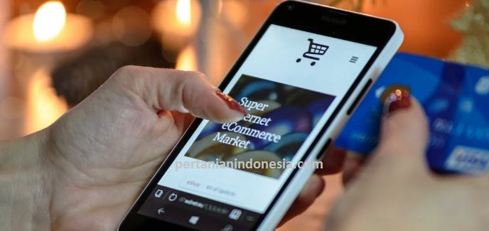 Toko Online, Bisnis Online, Marketplace, E Commerce, Pertanian Indonesia, Toko Pertanin, Toko Tani